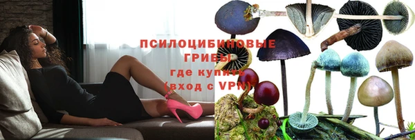 амф Богородицк
