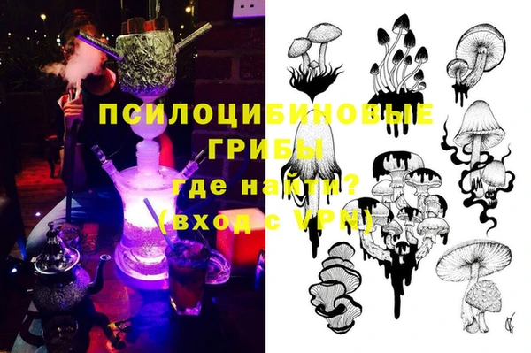 стафф Богородск