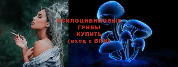 амф Богородицк