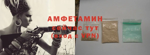 шишки Бородино