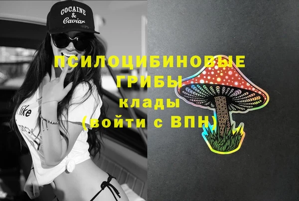 стафф Богородск