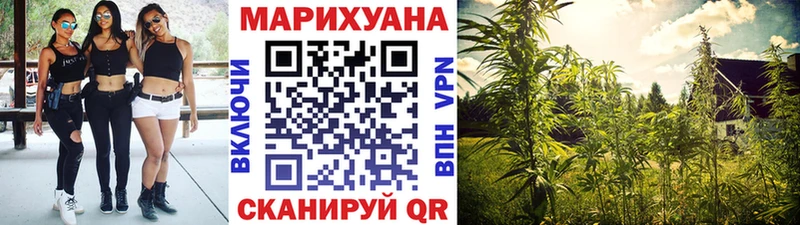 Каннабис конопля Туран